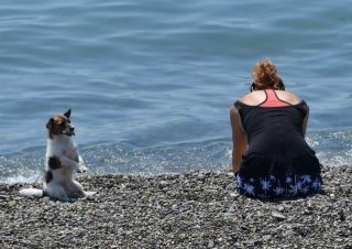 Курортный сбор в Крыму и Сочи в 2019 году - сумма сбора с туристов снова, они смогут оценить Курортный сбор в Крыму и Сочи в 2019 году - сумма сбора с туристов снова, они смогут оценить