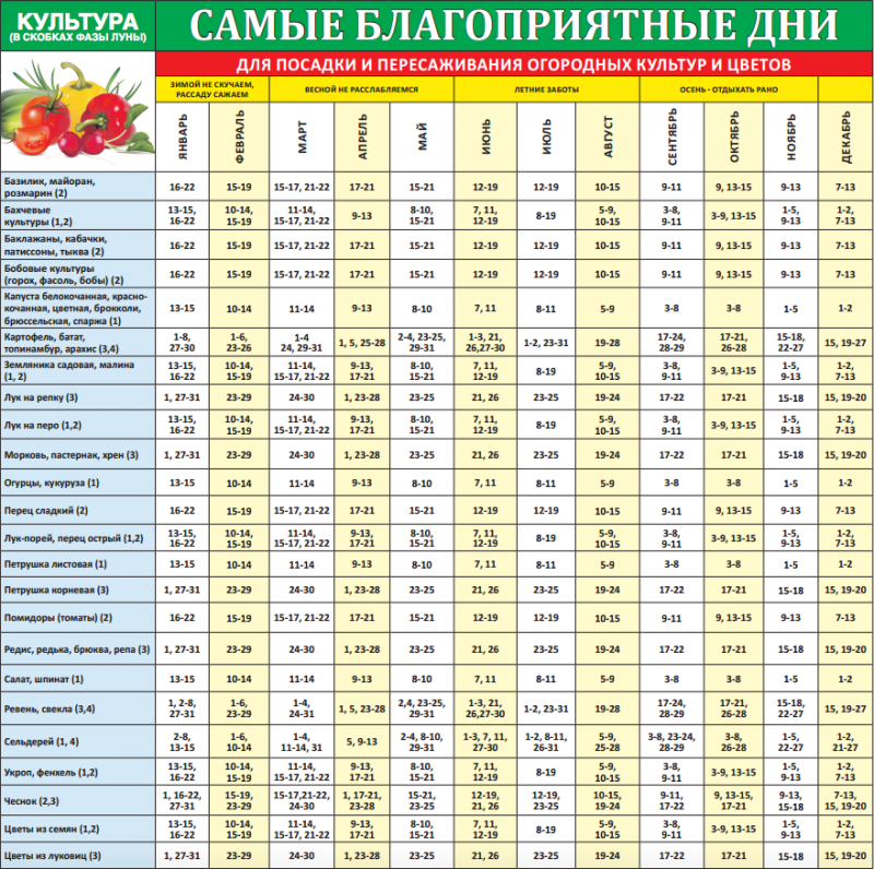 Лунный посевной календарь на 2019 года садовода и огородника для Урала для обработки земли