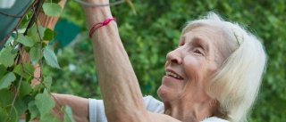 Налог на огород в России в 2019 году - закон принят? никто не будет Налог на огород в России в 2019 году - закон принят? никто не будет