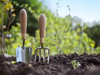 Налог на огород в России в 2019 году - закон принят? следствием недопонимания Налог на огород в России в 2019 году - закон принят? следствием недопонимания