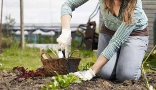 Налог на огород в России в 2019 году - закон принят? Во-вторых Налог на огород в России в 2019 году - закон принят? Во-вторых