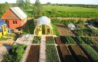 Налог на огород в России в 2019 году - закон принят? выращенную на личном хозяйстве Налог на огород в России в 2019 году - закон принят? выращенную на личном хозяйстве