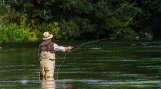 Новые правила рыболовства с 2019 года - последние новости о новом законе Но, как бы то Новые правила рыболовства с 2019 года - последние новости о новом законе Но, как бы то