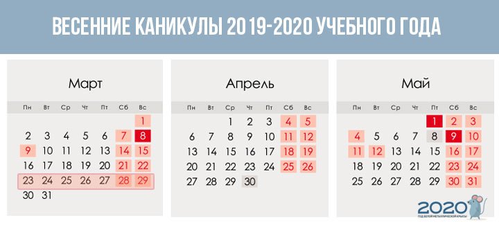 Каникулы у первоклассников в 2019-2020 году | первые и дополнительные, у первоклашек