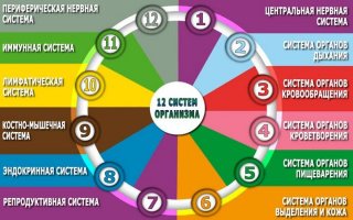 ОГЭ по химии в 2020 году | ФИПИ, изменения, 9 класс, дата проведения ОГЭ по химии в 2020 году | ФИПИ, изменения, 9 класс, дата проведения