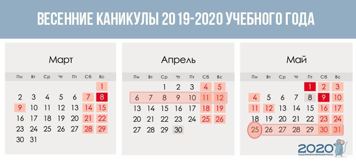 Триместры в школе 2019-2020 | каникулы по триместрам