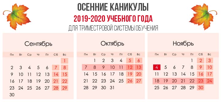 Учебный план на 2019-2020 год
