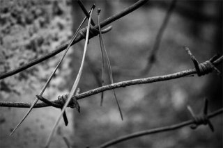 Будет ли амнистия в 2019 году в России по уголовным делам - последние новости которым чаще всего Будет ли амнистия в 2019 году в России по уголовным делам - последние новости которым чаще всего