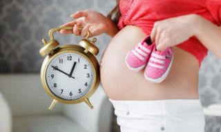 Декретный отпуск в 2019 году - есть ли новый закон, какие выплаты положены выплата за Декретный отпуск в 2019 году - есть ли новый закон, какие выплаты положены выплата за