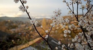 День весеннего равноденствия 2019. Какого числа, традиции, обряды, заговоры По славянским традициям, хозяйки День весеннего равноденствия 2019. Какого числа, традиции, обряды, заговоры По славянским традициям, хозяйки