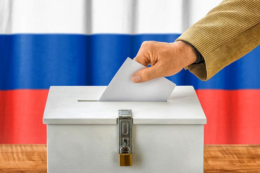 Какие выборы будут в 2019 году в России край, Брянская область, Волгоградская