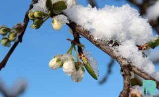 Какой будет весна 2019 года в России конкретный день Какой будет весна 2019 года в России конкретный день