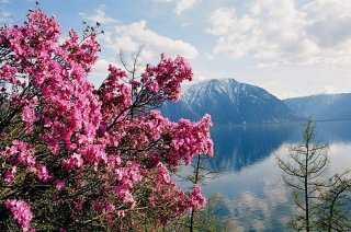 Какой будет весна 2019 года в России 27 марта 2019 года Какой будет весна 2019 года в России 27 марта 2019 года