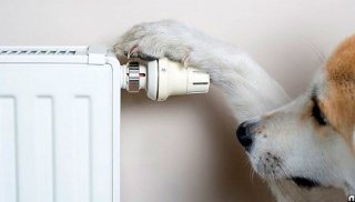 Когда отключают отопление в 2019 году в российских городах Отопление осенью включалось Когда отключают отопление в 2019 году в российских городах Отопление осенью включалось