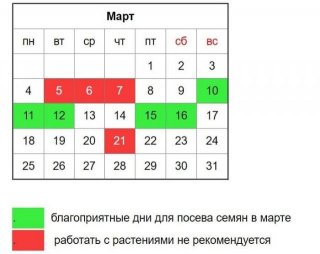 Когда сажать огурцы на рассаду в 2019 году. Благоприятные дни Благоприятные дни для пересадки Когда сажать огурцы на рассаду в 2019 году. Благоприятные дни Благоприятные дни для пересадки