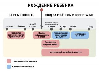 Кто оплачивает декретный отпуск в 2019 году - работодатель или государство, фирма, в России Получив документы, работодатель рассчитывает величину Кто оплачивает декретный отпуск в 2019 году - работодатель или государство, фирма, в России Получив документы, работодатель рассчитывает величину