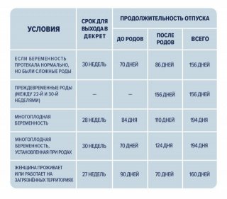 Кто оплачивает декретный отпуск в 2019 году - работодатель или государство, фирма, в России сопровождается ежемесячным Кто оплачивает декретный отпуск в 2019 году - работодатель или государство, фирма, в России сопровождается ежемесячным