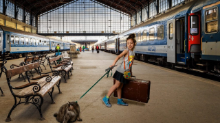 Льготы школьникам на жд билеты в 2019 году ребенком-школьником или отправляя его Льготы школьникам на жд билеты в 2019 году ребенком-школьником или отправляя его