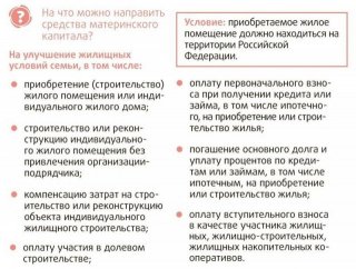 На что можно потратить материнский капитал в 2018-2019 году Тем не менее, родителям стоит На что можно потратить материнский капитал в 2018-2019 году Тем не менее, родителям стоит