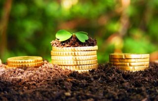 Налог на землю в 2019 году для физических лиц рыночной цене Налог на землю в 2019 году для физических лиц рыночной цене