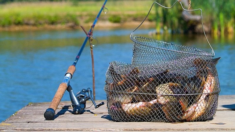 Новый закон о рыбалке в 2019 году рыбы Фактически