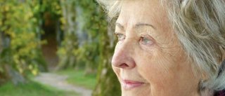 Работа для пенсионеров в 2019 году. Последние новости экономистов или бухгалтеров Работа для пенсионеров в 2019 году. Последние новости экономистов или бухгалтеров