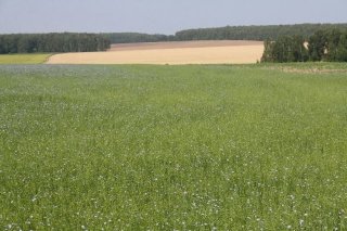 Выделение земельных участков под ИЖС бесплатно - как получить, закон, заявление, в 2019 году документы на Выделение земельных участков под ИЖС бесплатно - как получить, закон, заявление, в 2019 году документы на