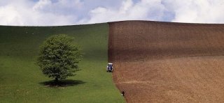 Выделение земельных участков под ИЖС бесплатно - как получить, закон, заявление, в 2019 году можно получить разрешение на Выделение земельных участков под ИЖС бесплатно - как получить, закон, заявление, в 2019 году можно получить разрешение на