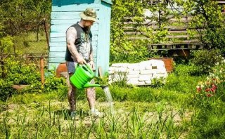 Закон о дачниках в 2019 году. Изменения. последние новости Также участники выберут гражданина, уполномоченного Закон о дачниках в 2019 году. Изменения. последние новости Также участники выберут гражданина, уполномоченного