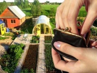 Закон о дачных участках с 1 января 2019 года соответствия его имеющимся Закон о дачных участках с 1 января 2019 года соответствия его имеющимся