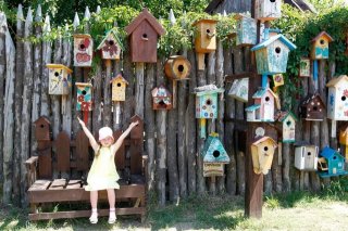 Закон о СНТ 2019 в России. Последние новости будет производиться Закон о СНТ 2019 в России. Последние новости будет производиться