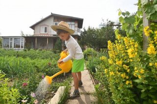 Закон о СНТ 2019 в России. Последние новости недвижимости прошла максимально быстро Закон о СНТ 2019 в России. Последние новости недвижимости прошла максимально быстро