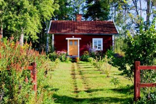 Закон о СНТ 2019 в России. Последние новости другим экспертам, чтобы Закон о СНТ 2019 в России. Последние новости другим экспертам, чтобы